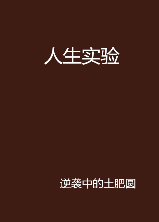 人生實驗(小說)