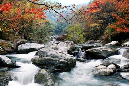 雪峰山林場轄區《雪峰山森林公園》內景