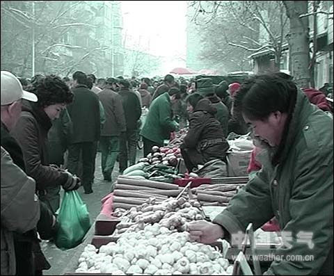 土食主義