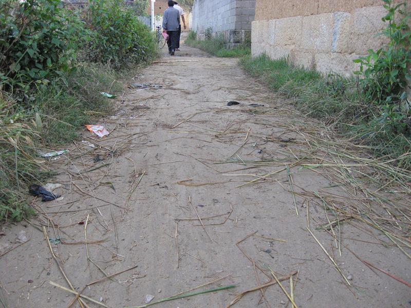 下烏邑自然村村內道路