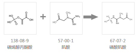 磷酸肌酸