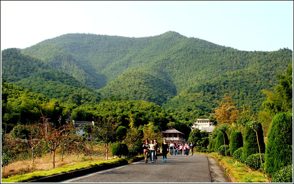 安吉荷花山