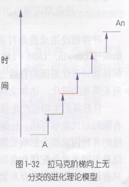 模式圖(用進廢退)