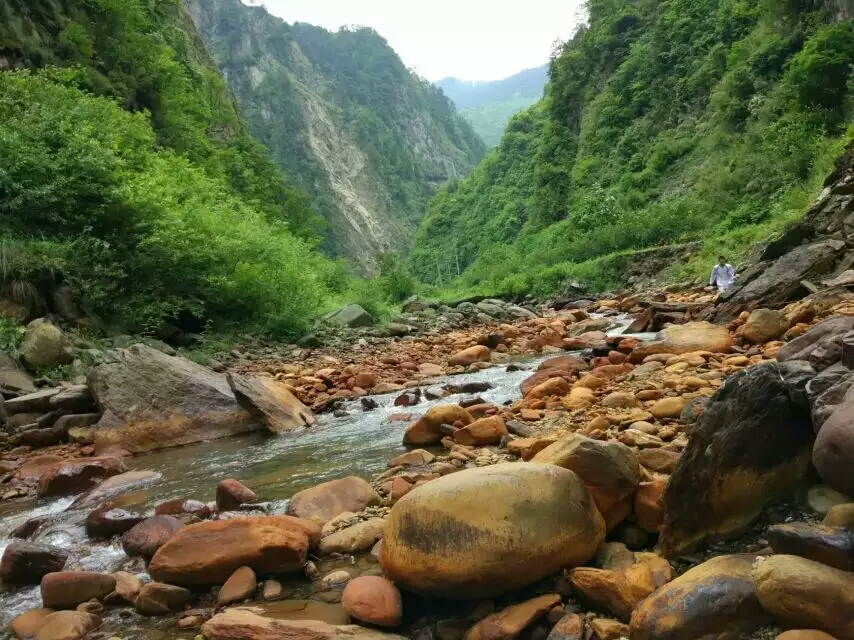 草坡鄉沙排村