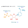β-煙醯胺單核苷酸
