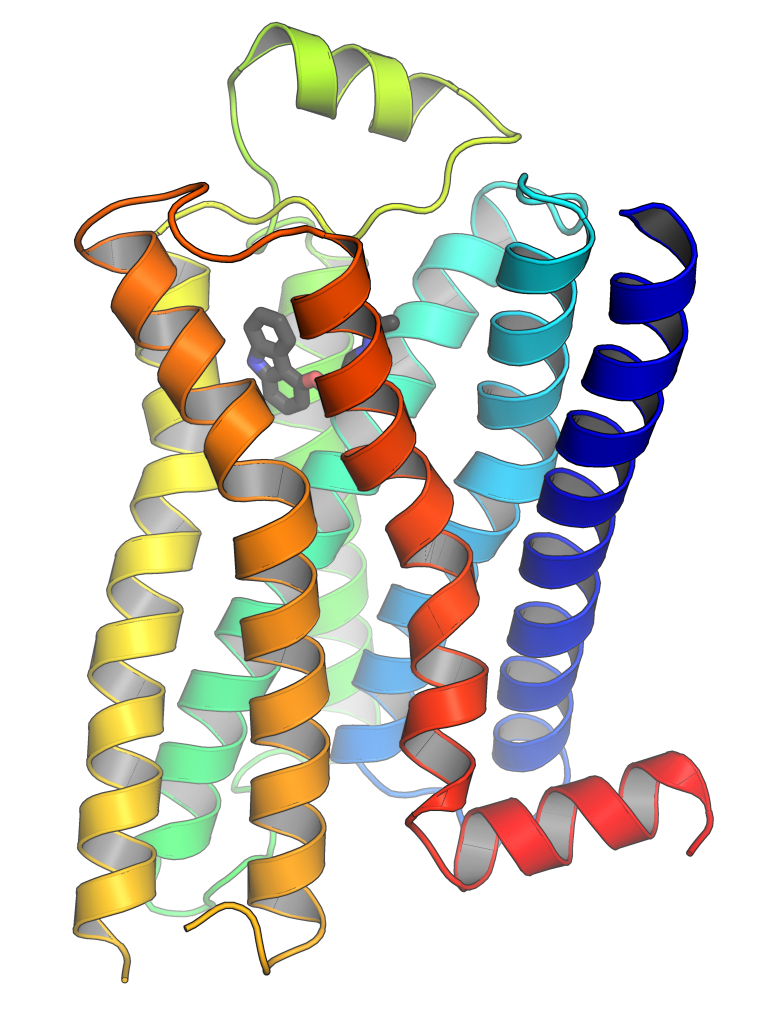 GPCR