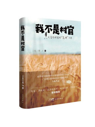 我不是村官(2022年花城出版社出版的圖書)