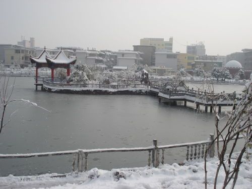 蘭西縣長崗鄉雪景