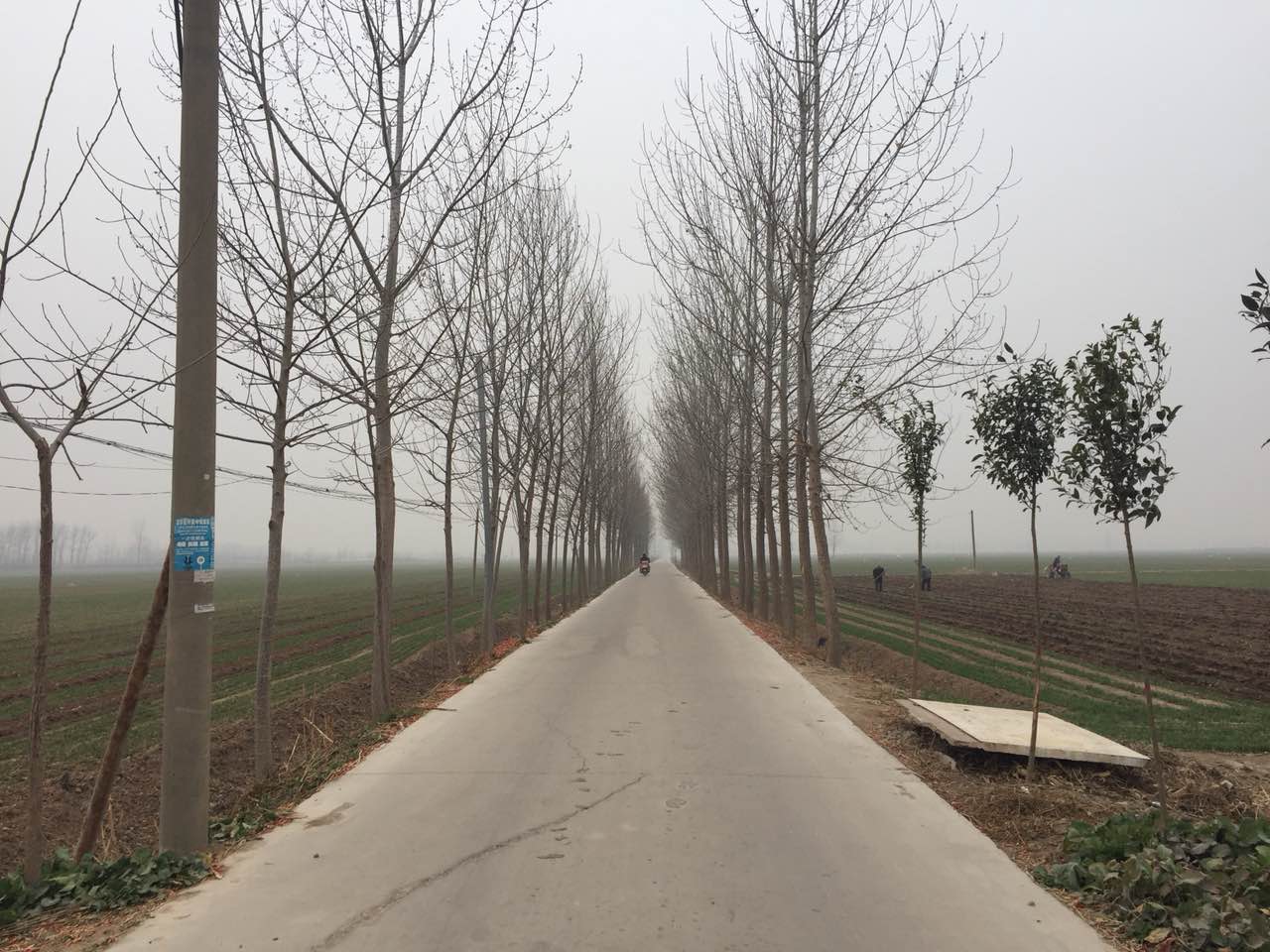 南大宋村---通向村外的路（(攝影/Jade20180102)）