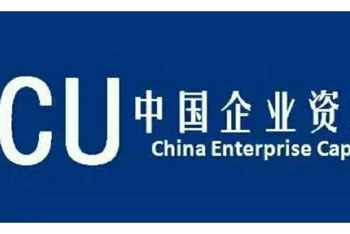 中國企業資本聯盟