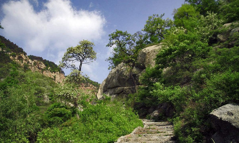 沂山(東泰山)