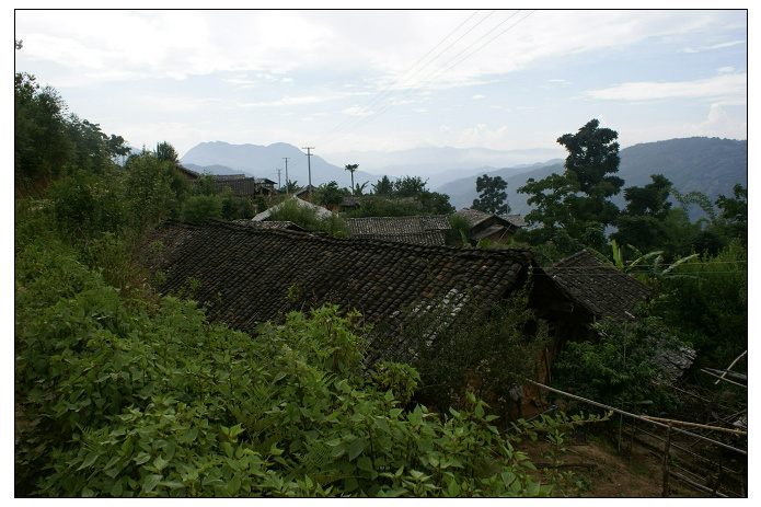 茅草園自然村