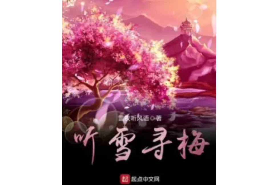 聽雪尋梅(雪夜聽風語著網路小說)