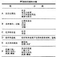 國際專利分類法