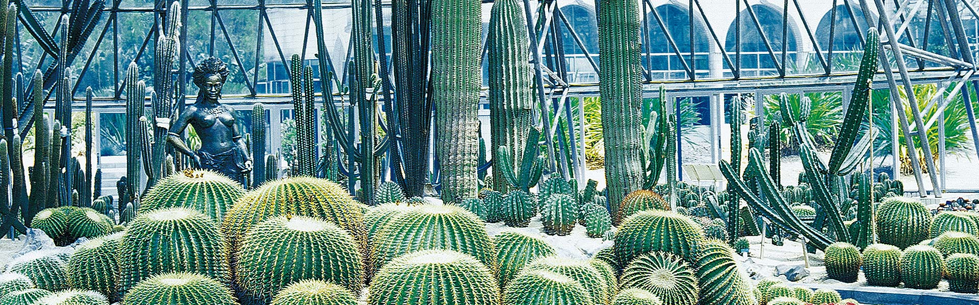 深圳市中國科學院仙湖植物園