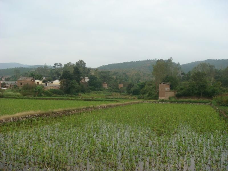 馬家坡村(山西省太原市清徐縣東於鎮下轄村)