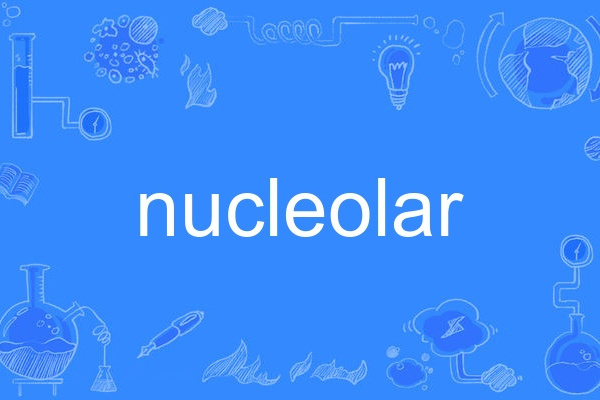 nucleolar