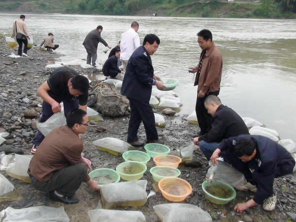 漢江沙洋段長吻鮠瓦氏黃顙魚國家級水產種質資源保護區