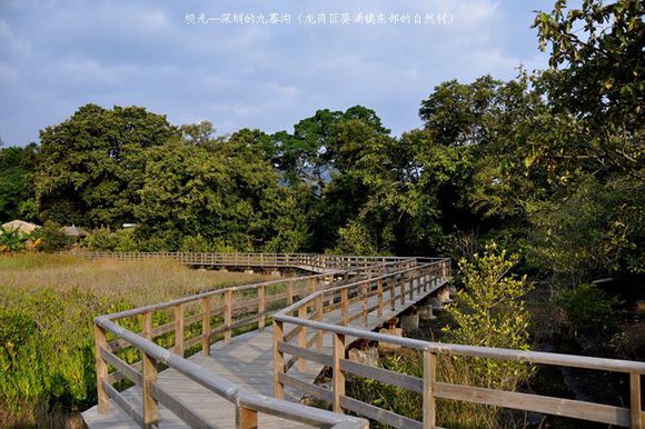 一棵樹村(甘肅省武威市古浪縣一棵樹村)