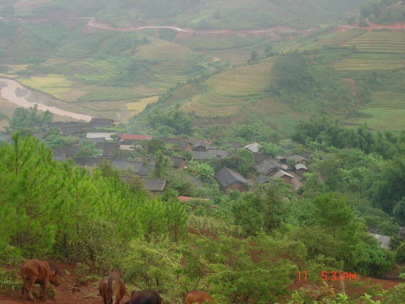 雲盤村(新平縣老廠鄉羅柴沖村民委員會下轄村)