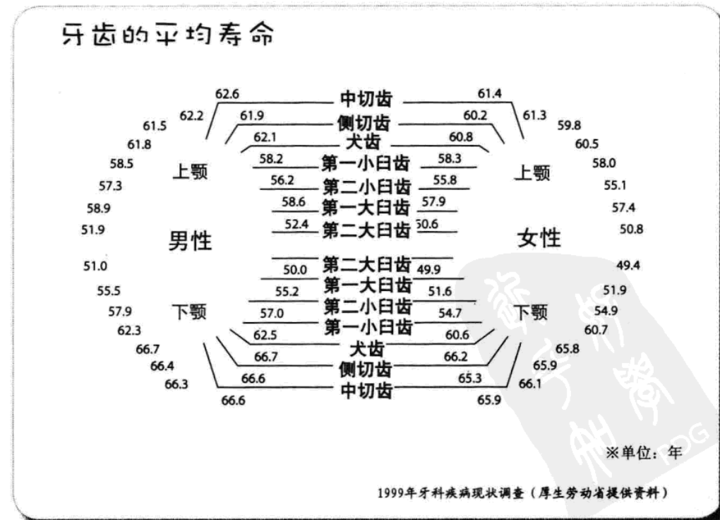 牙齒的平均壽命