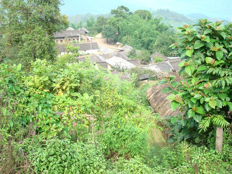 岳家寨村(雲南省德宏州隴川縣護國鄉下轄村)