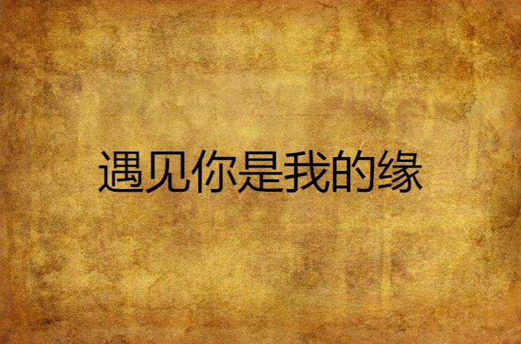 遇見你是我的緣(言情小說)