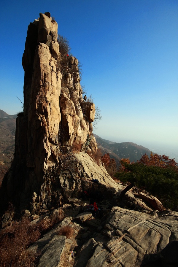 泰山