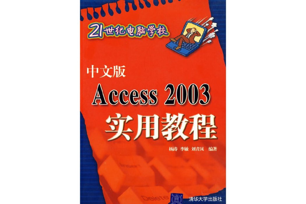 中文版Access 2003實用教程(2007年清華大學出版社出版的圖書)