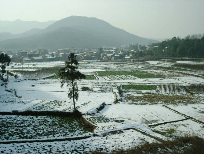 墩上村(江西省都昌縣陽峰鄉墩上村)