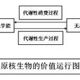 原核趨性情感