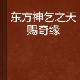 東方神乞之天賜奇緣