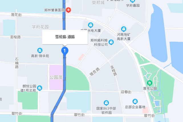 雪松路(河南省鄭州市雪松路)