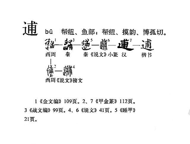 演變圖