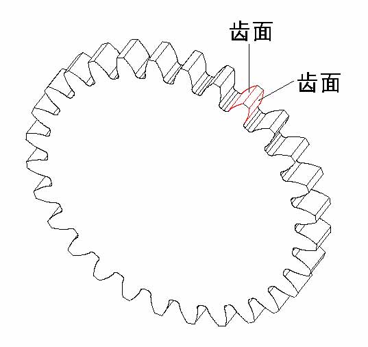 齒面圖片說明