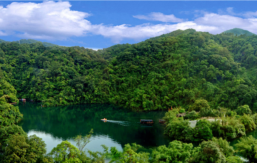 鼎湖山世界生物圈保護區