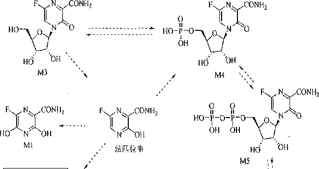 法匹拉韋