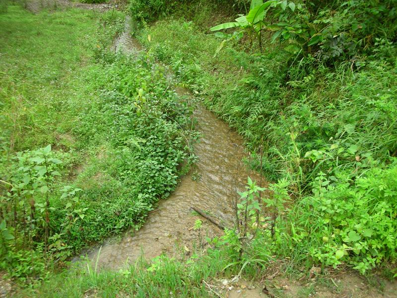 岔路山自然村小溪流