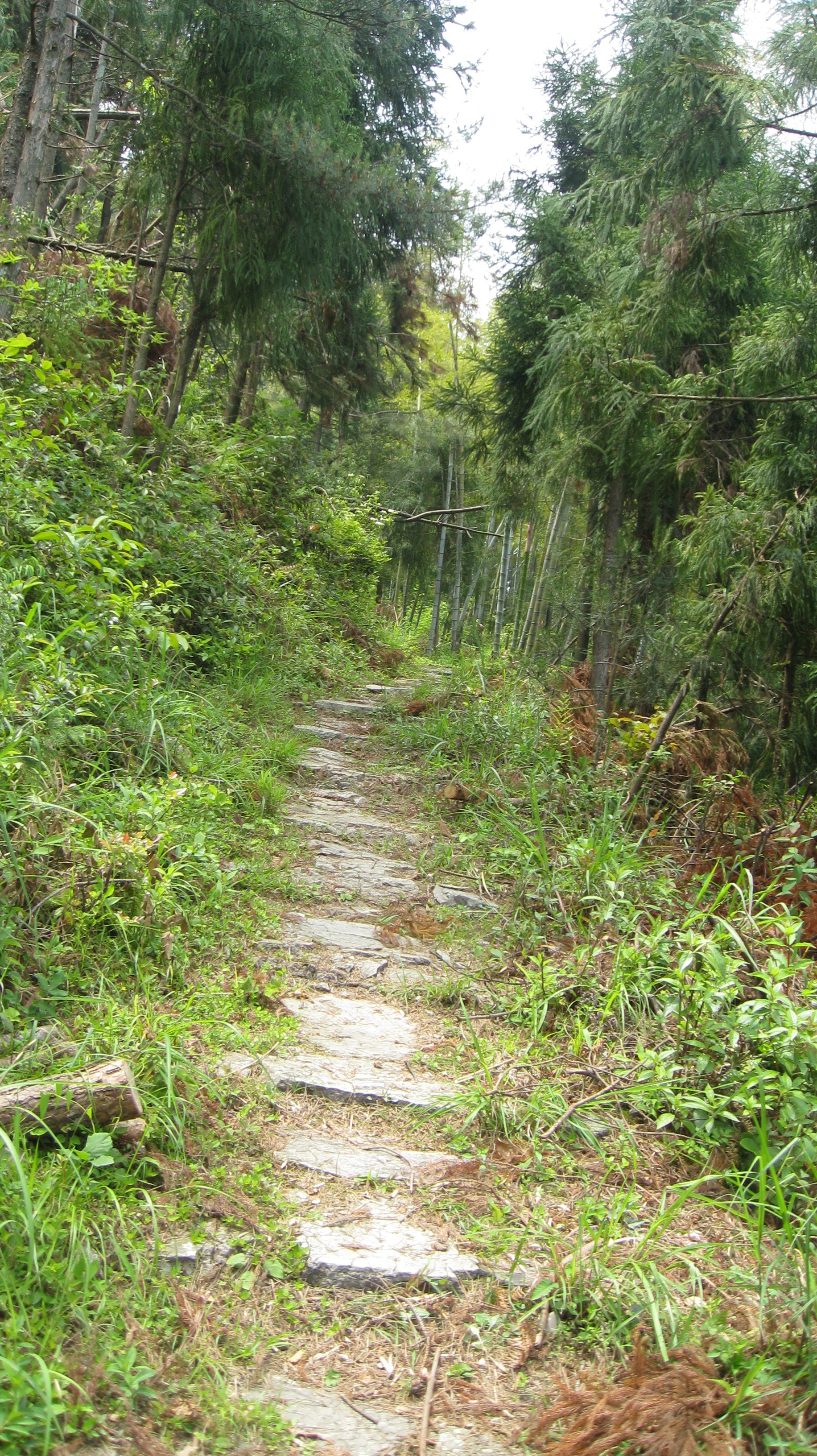 分水嶺古道