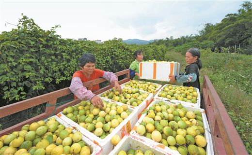 竹良村