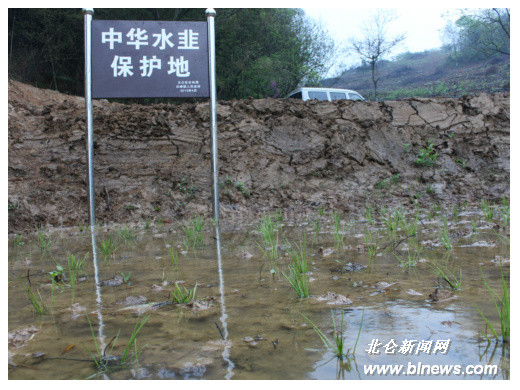 陽東村