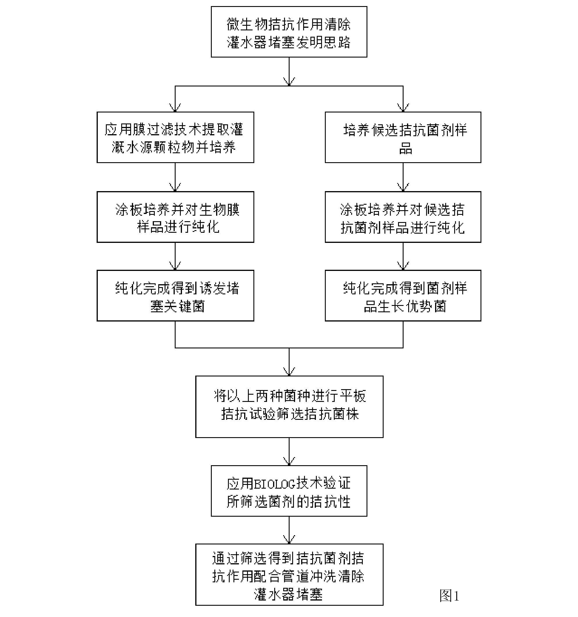 利用微生物拮抗作用清除滴灌系統灌水器堵塞的方法