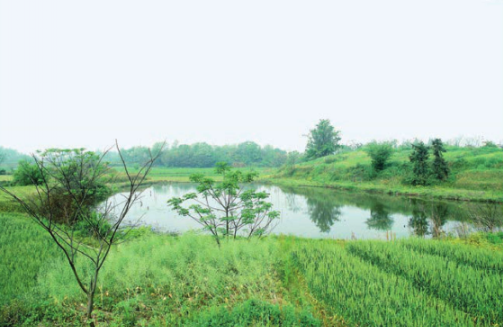 牯牛山遺址兩台地之間的護城河