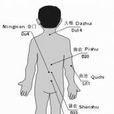 現代中醫穴位滲透技術