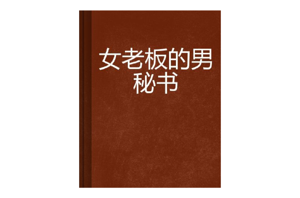 女老闆的男秘書