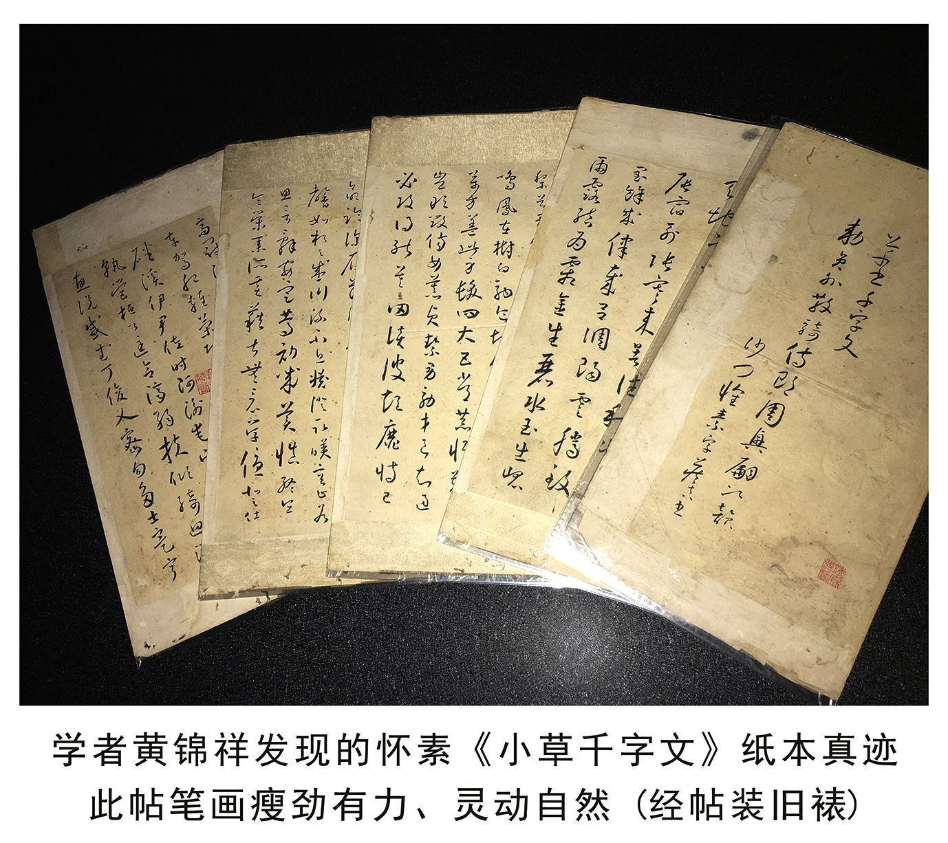 書法藝術(中國文化的獨特表現藝術)