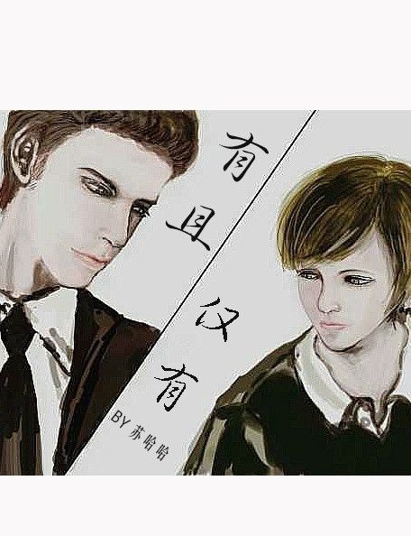 有且僅有(蘇哈哈創作的網路小說作品)