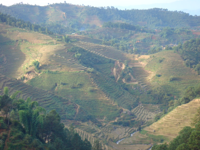 村中耕地山地