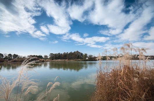 安徽平天湖國家濕地公園