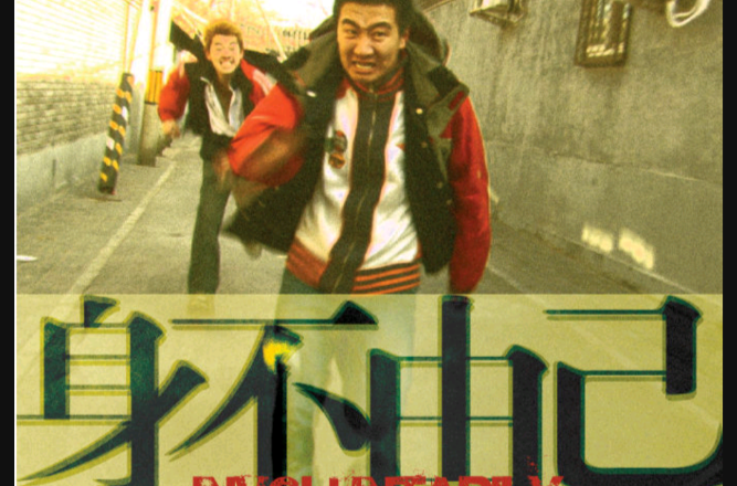 身不由己(2009年張源執導電影)